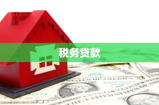 全椒税务贷款