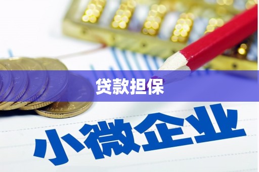 全椒贷款担保