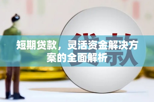 全椒短期贷款，灵活资金解决方案的全面解析