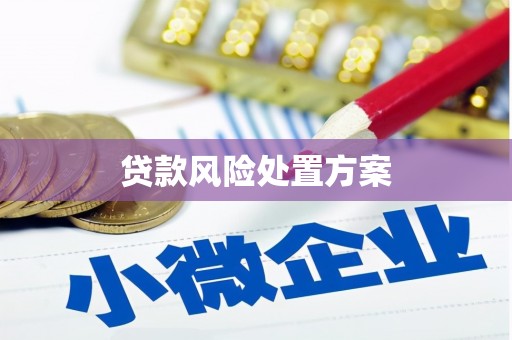 全椒贷款风险处置方案