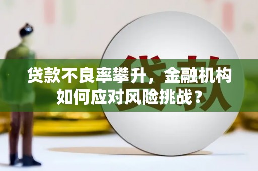 全椒贷款不良率攀升，金融机构如何应对风险挑战？