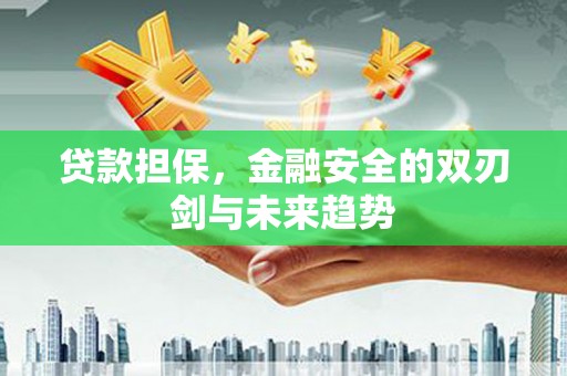 全椒贷款担保，金融安全的双刃剑与未来趋势