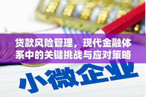 全椒贷款风险管理，现代金融体系中的关键挑战与应对策略