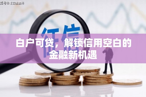 全椒白户可贷，解锁信用空白的金融新机遇