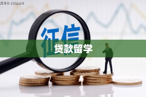 全椒贷款留学
