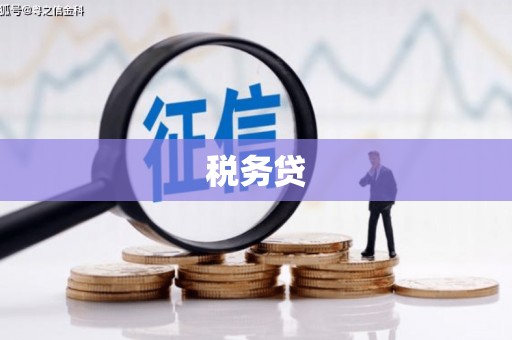 全椒税务贷