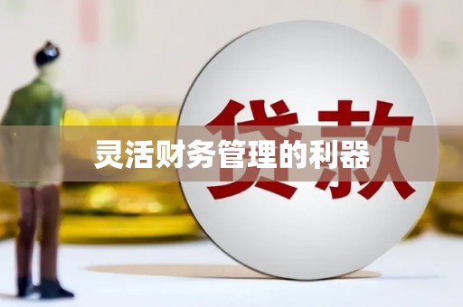 全椒灵活财务管理的利器