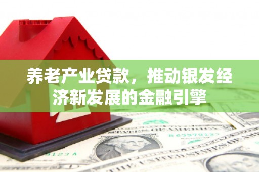全椒养老产业贷款，推动银发经济新发展的金融引擎