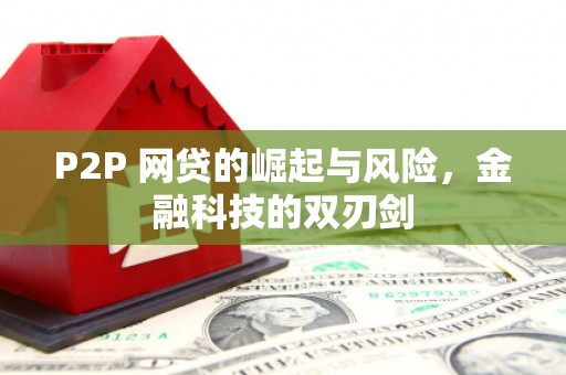 全椒P2P 网贷的崛起与风险，金融科技的双刃剑