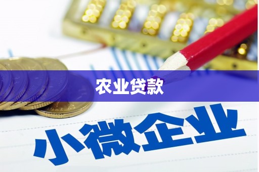 全椒农业贷款