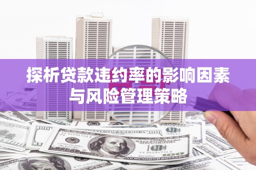 全椒探析贷款违约率的影响因素与风险管理策略