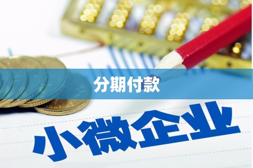 全椒分期付款