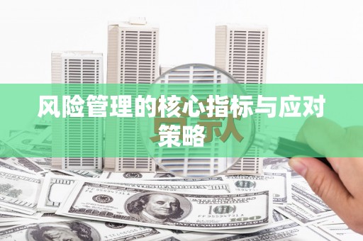 全椒风险管理的核心指标与应对策略