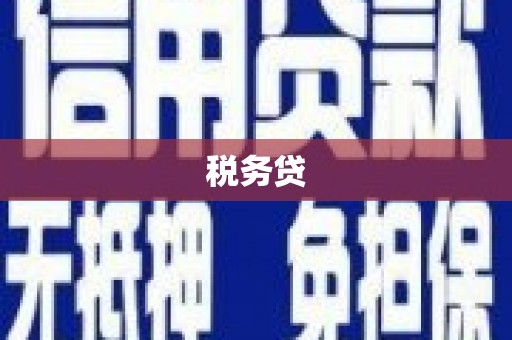 全椒税务贷