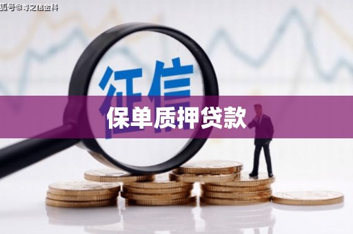 全椒保单质押贷款