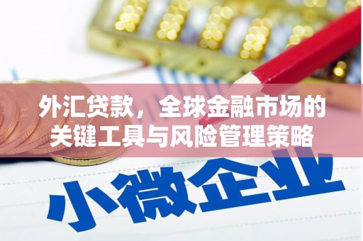全椒外汇贷款，全球金融市场的关键工具与风险管理策略