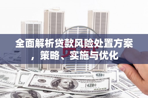 全椒全面解析贷款风险处置方案，策略、实施与优化