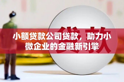 全椒小额贷款公司贷款，助力小微企业的金融新引擎