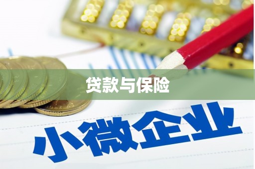 全椒贷款与保险