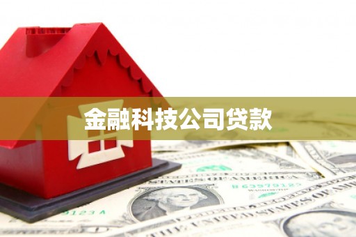 全椒金融科技公司贷款