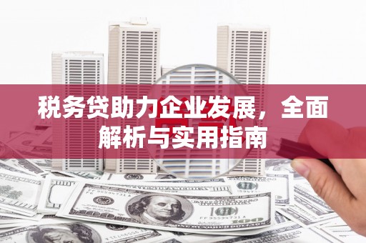全椒税务贷助力企业发展，全面解析与实用指南