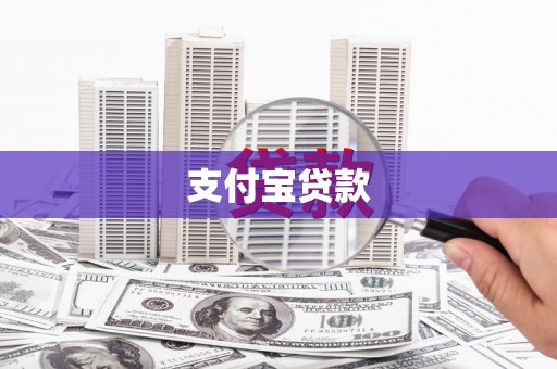 全椒支付宝贷款