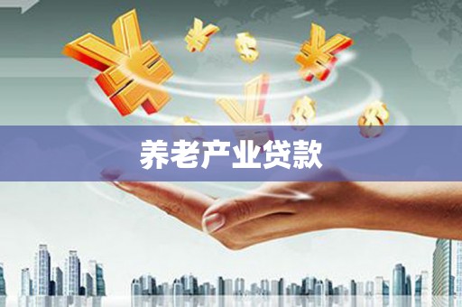 全椒养老产业贷款