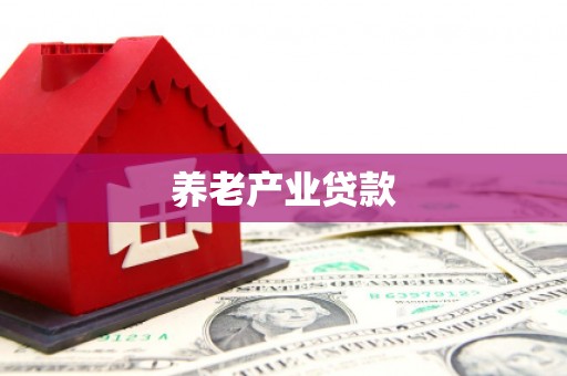 全椒养老产业贷款