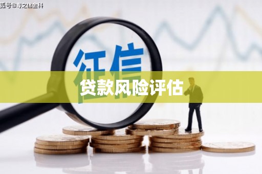 全椒贷款风险评估