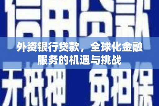 全椒外资银行贷款，全球化金融服务的机遇与挑战