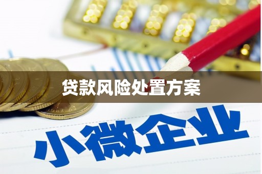 全椒贷款风险处置方案