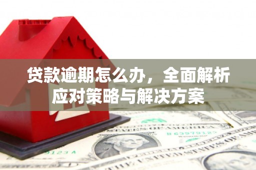 全椒贷款逾期怎么办，全面解析应对策略与解决方案