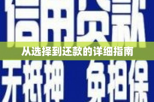 全椒从选择到还款的详细指南