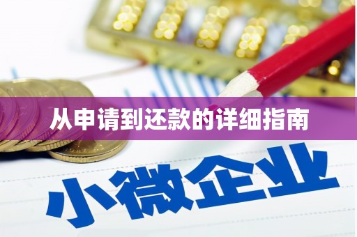 全椒从申请到还款的详细指南