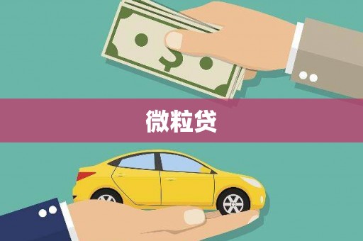 全椒微粒贷
