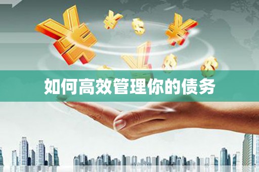 全椒如何高效管理你的债务
