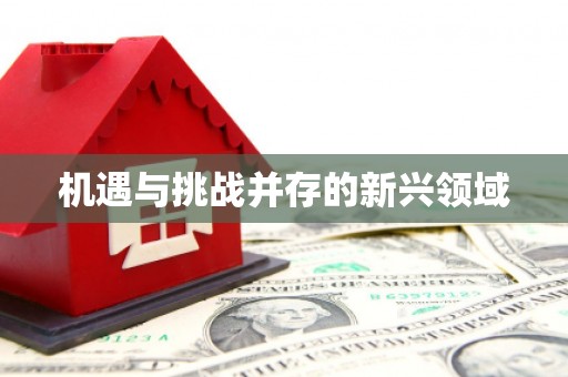 全椒机遇与挑战并存的新兴领域