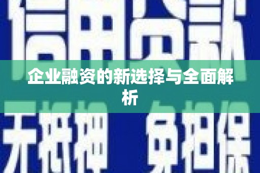 全椒企业融资的新选择与全面解析