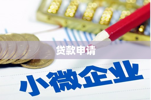 全椒贷款申请