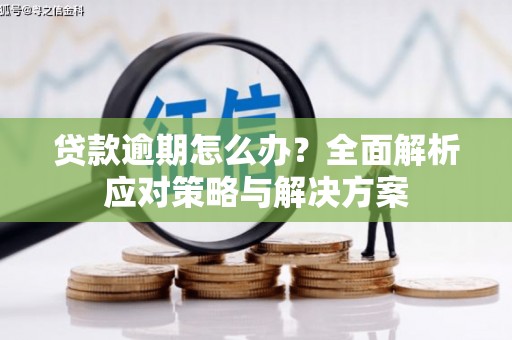 全椒贷款逾期怎么办？全面解析应对策略与解决方案