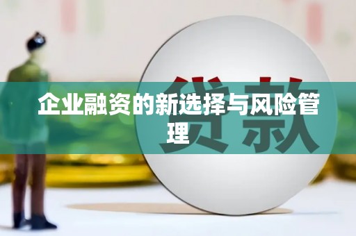 全椒企业融资的新选择与风险管理