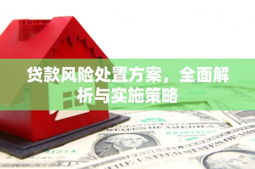 全椒贷款风险处置方案，全面解析与实施策略