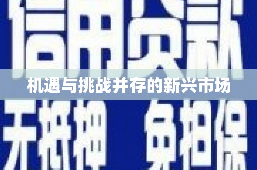 全椒机遇与挑战并存的新兴市场