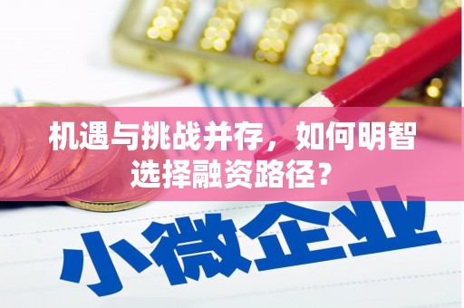 全椒机遇与挑战并存，如何明智选择融资路径？