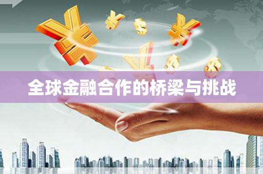 全椒全球金融合作的桥梁与挑战
