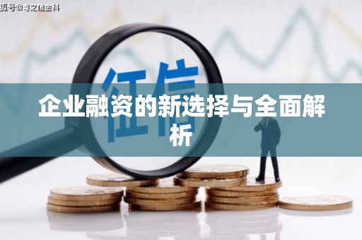 全椒企业融资的新选择与全面解析