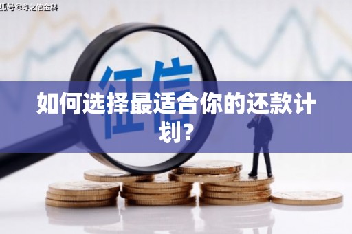 全椒如何选择最适合你的还款计划？
