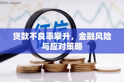 全椒贷款不良率攀升，金融风险与应对策略