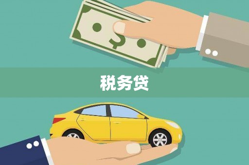 全椒税务贷