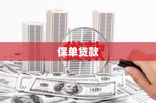 全椒保单贷款